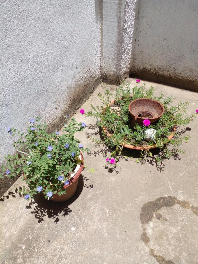 Quarto Em Casa De Condominio São Pedro da Aldeia Eksteriør bilde